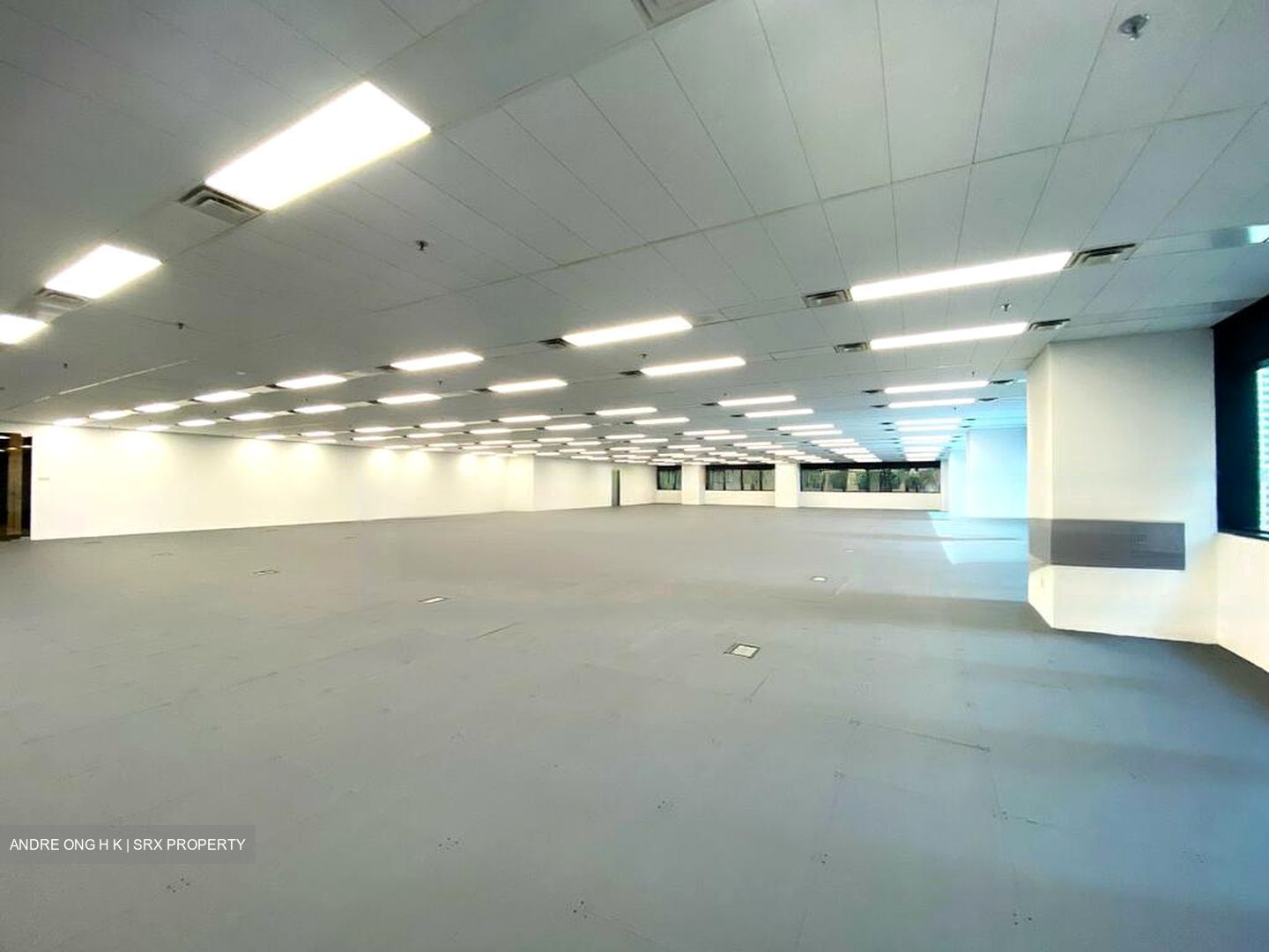 Robinson 77 (D1), Office #592830521